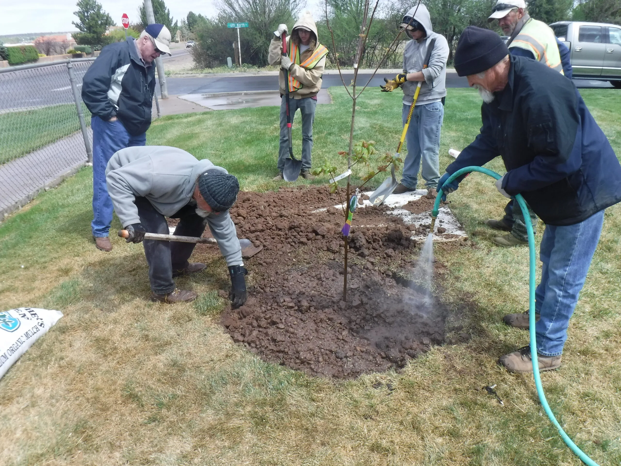 Parks employees, retired arborist Bruce Mighton, and Vice Mayor and Tree Board Chairman Kerry Ballard participate in planting a tree at Pioneer Park for Arbor Day.